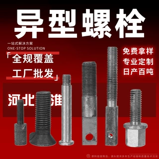 定制异型螺栓非标热打冷镦高强度异形螺丝钉螺母不锈钢碳钢冲压件