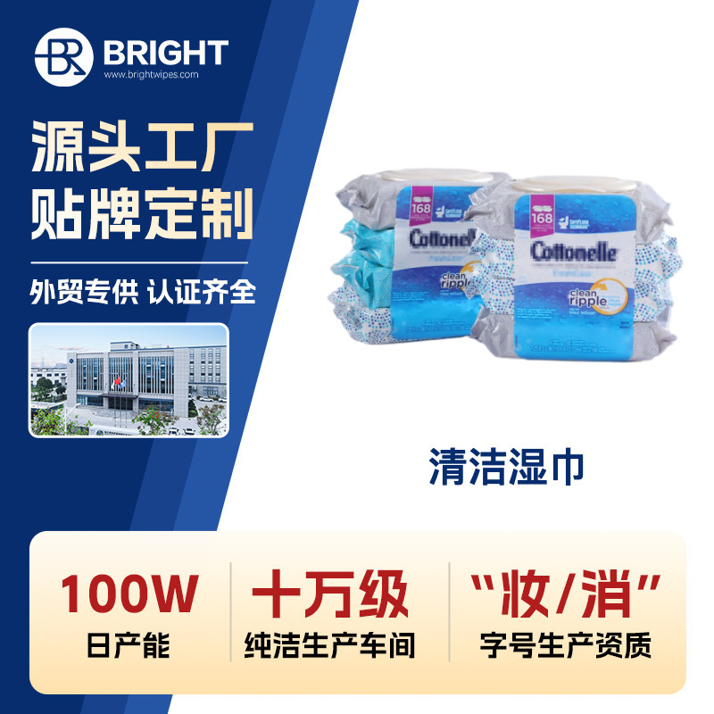 Wet Wipes Manufacturer Direct Sales Non-Toxic and Unscented Cleaning Wipes Toilet Cleaning Wipes Household Cleaning Paper Products