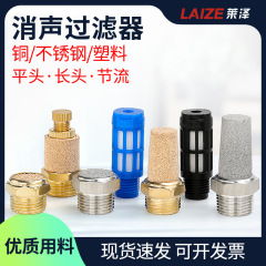 銅ロングマフラースロットルプラスチック鉄銅プラグ外部六角おねじ雌ねじステンレス鋼ジョイントサイレンサー