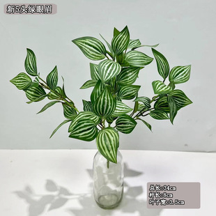 ���l�r�����ֲ�� Simulated plants �G��ü�^�zֲ�����~��