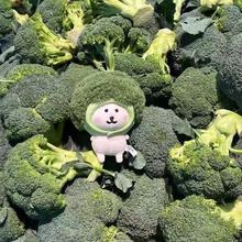 ���m���Գ��������޻����޿ɐ�ë�q�������նY�������ż������l