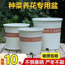 �����Ӂ����ɫ���ϻ���Ӻ������¼�������͸���̨��֬�������