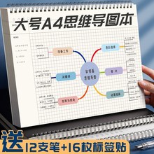 专用笔记本子a4高效加厚公基大学生法考思维导图考研带大号康奈尔