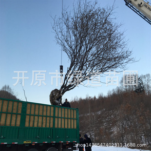 ���l��l�� ������l�ʾG�hɫ�Kģ�y��l�ʘ�����@������