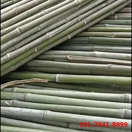 竹木藤苇干草;竹类植物;林业副产品