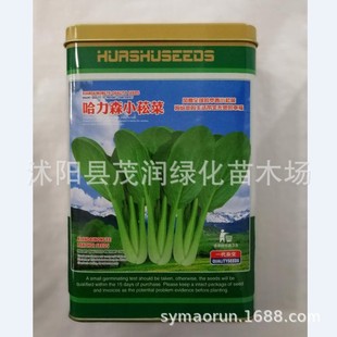 ���l�����b�߲˷N ���b�N�Ӱײ� �S�� �ཷ ���� �۲� ����С�ײ�