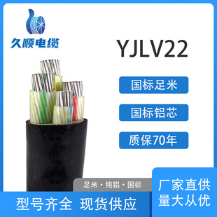 ������| �S��ֱ�� �Xо���zYJLV22 2/3/4/3+1/4+1/5о �����|
