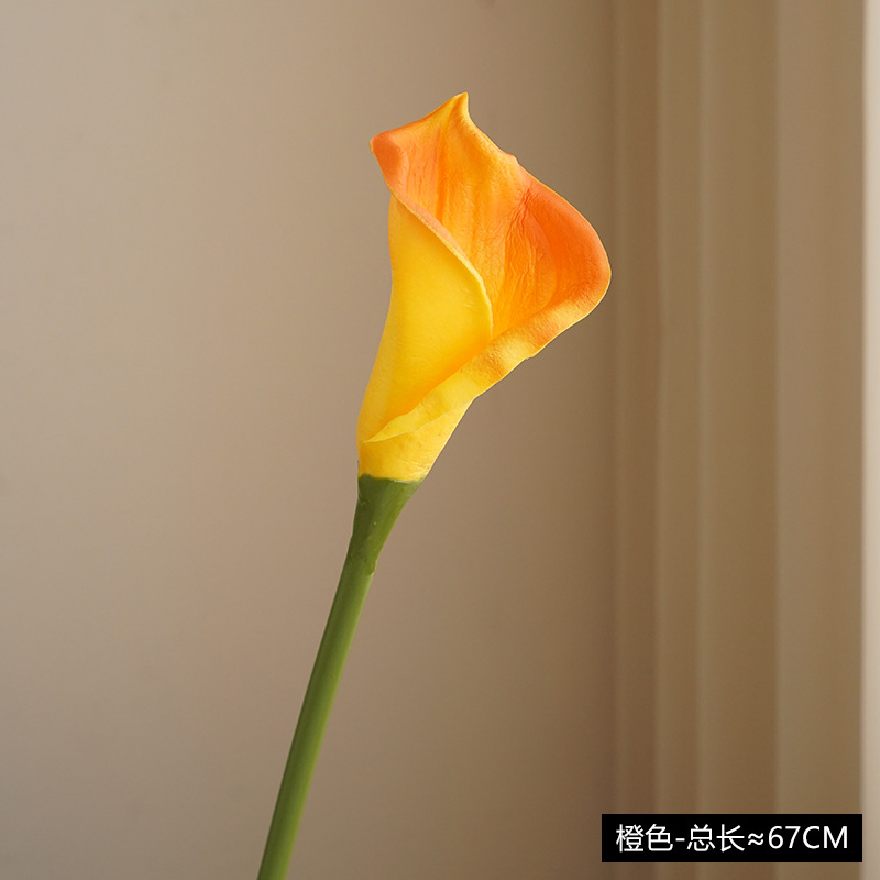오렌지