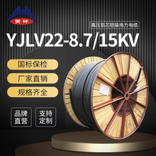 天環 鋁芯高壓電纜 3芯300/400/240國標ZRC-YJLV22阻燃10KV電纜
