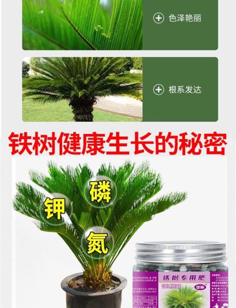 3dcc4616-5a7e-4b0b-8179-6a5a7eb020e1.jpe