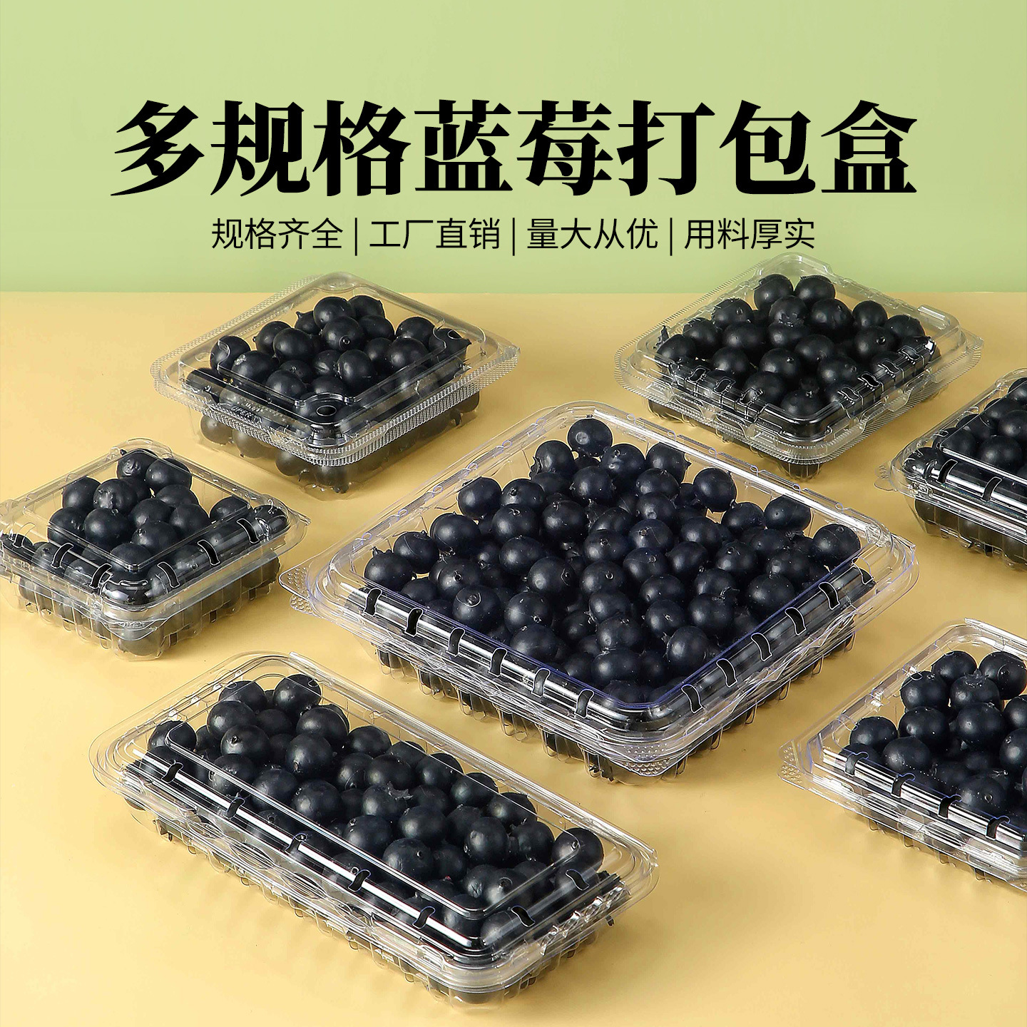 一次性蓝莓包装盒pet吸塑盒透明125g蓝莓打包盒250g加厚内盒现货