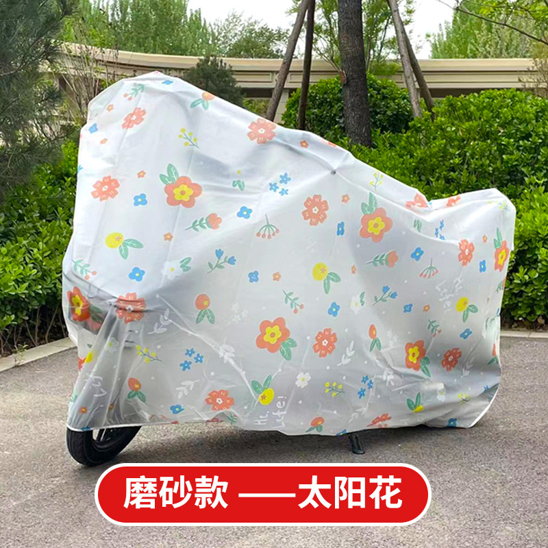 서리로 덥은 해바라기