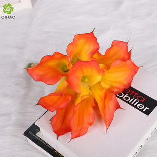 �����ָз����R��ɏ �Ӱ巿ܛ�z�����b������� ��c�R��ɏ���滨