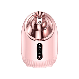 Hot and Cold Dual Spray Facial Steamer Nano Hydrating Sprayer Facial Household Steamer Beauty Salon Special Facial Steamer