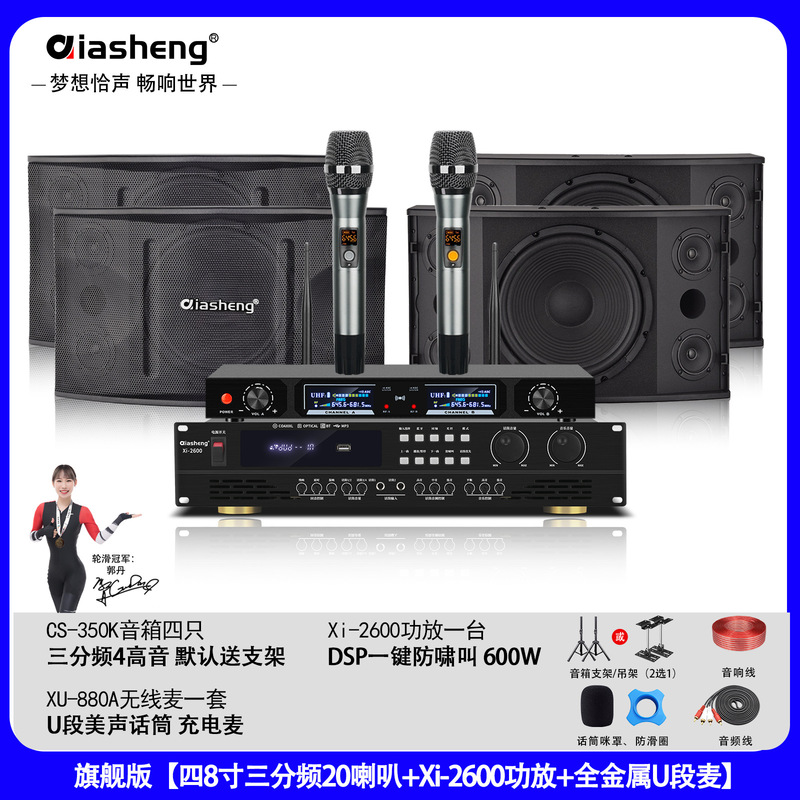 QIASHENG 家庭KTV音响套装卡拉OK点歌机专业音箱全套K歌影院设备|undefined