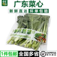 ��ǧţ�������V�|�������r�V�|�˻���޷ˮ�׌��Ĳ˻��� ��S���]