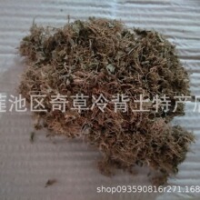 荷包草,马蹄金,小碗碗草,批发中药材荷包草