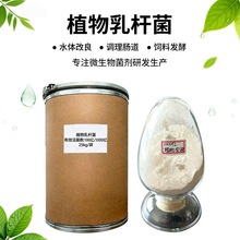 ֲ����U��ˮ�a�Bֳ�{ˮ��ˮ�~�r������ӄ��l�͔U�������