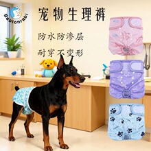 ����Ȯ�ű�ĸ�������� �ʹ������η���© �����ذ�ɳ������������
