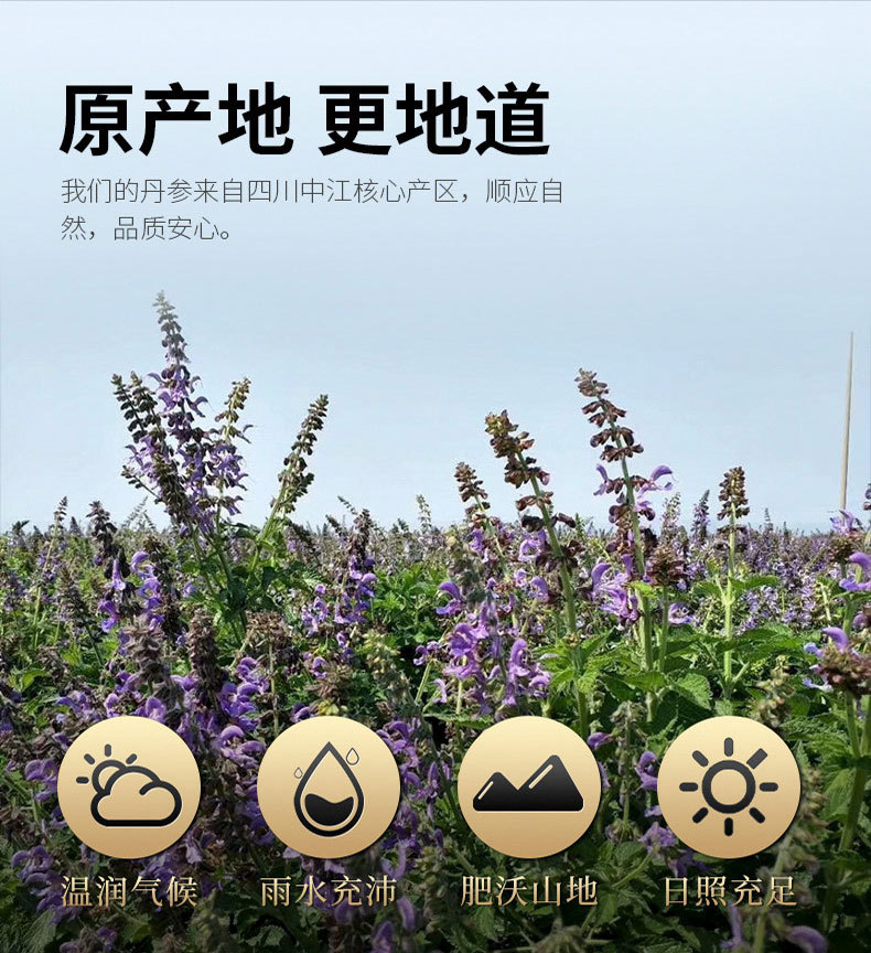 Dan Shen Slices (Salvia miltiorrhiza) — Dried Red Sage Root for Tea & Decoction quality and texture