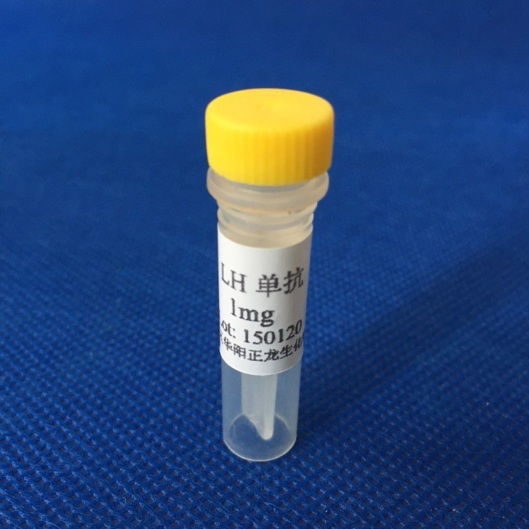 �ٻ���������(LH)����¡����