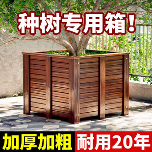 ����ľ����Nֲ�����ͥԺ�e���N���������ľ���۹��̻���