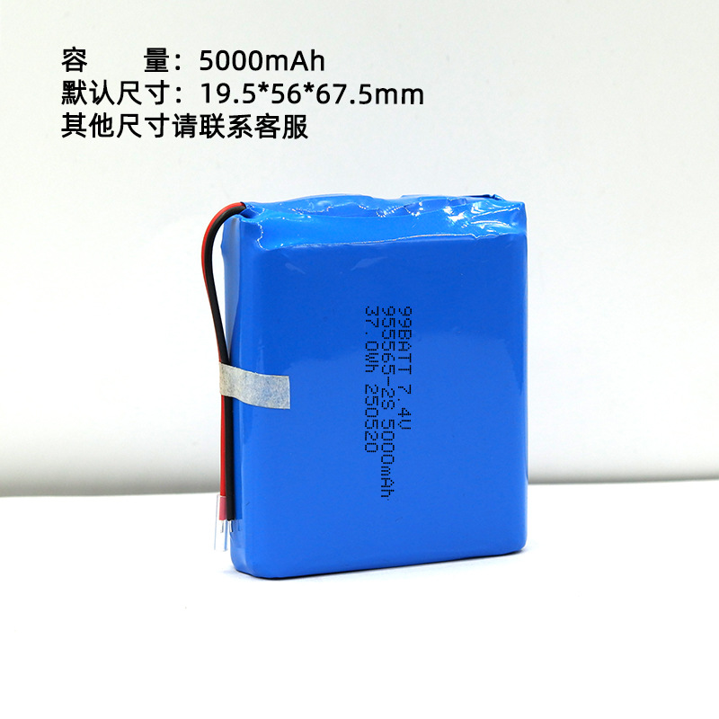 955565-5000