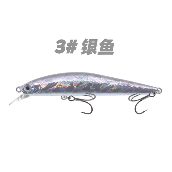 3# Silver Fish