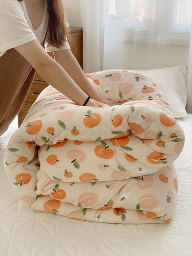 Winter thickened and warm coral velvet quilted ultra-thick lamb velvet quilt winter quilt single student dormitory blanket cover