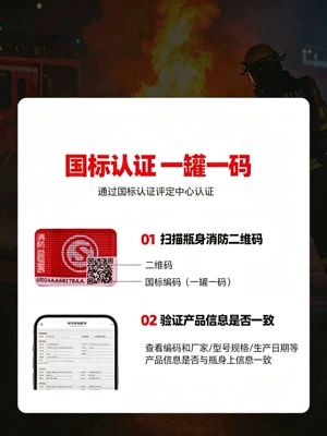 Vehicle fire extinguisher: new national standard, 3C certified
