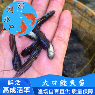 �V�������������T�~�� �s����ڵ�ˮ�T�~�� �Ϸ�����T����