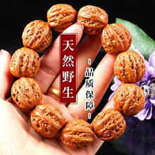 ���������ִ�С�����ִ��ְѼ���ʿ�S������ŮҰ��С���Ӻ����ִ�
