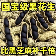 ���x�ش��������ڻ��� �a��ֱ���o���Ӻ�Ƥ����֧��һ�����l