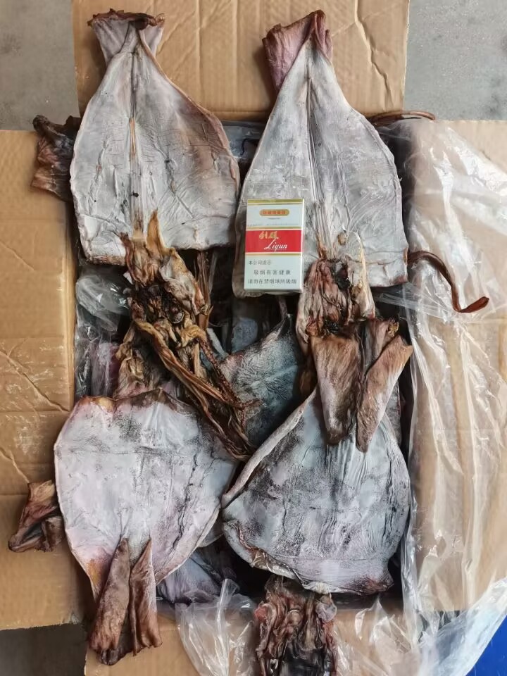 QQ图片20230627130040