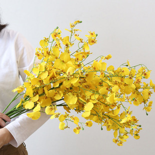 �����m�����mӭ�����ٻ����滨�������͏d�����ɻ��廨ƿ�[����ˇ