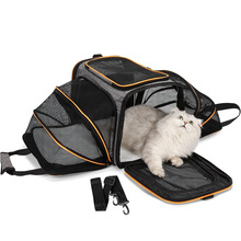 ����������y��͸����ۯB����؈������չС�͌��������؈���