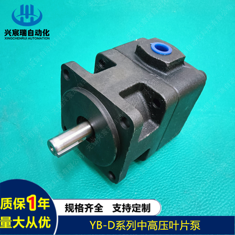 YB-D系列叶片泵YB-D2.5 YB-D4 YB-D6.3 YB-D10 YB-D12 YB-D16
