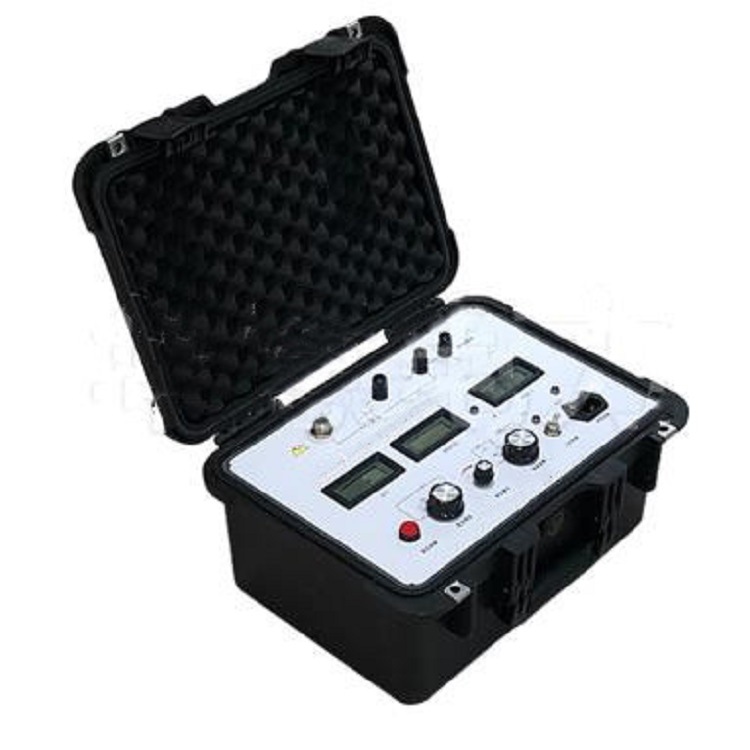 高压绝缘电阻测试仪（中西器材） 型号:GM-5kV 库号：M97969