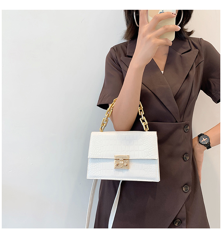 Fashion Fashionable Small Square Bag 2021 Spring And Summer New Chain Women's Bag Shoulder Crossbody Small Handbags One Piece Dropshipping display picture 1