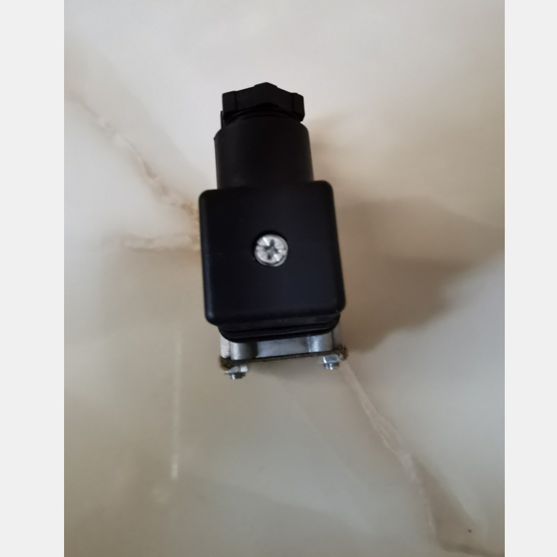 HAWE DG365 pressure relay