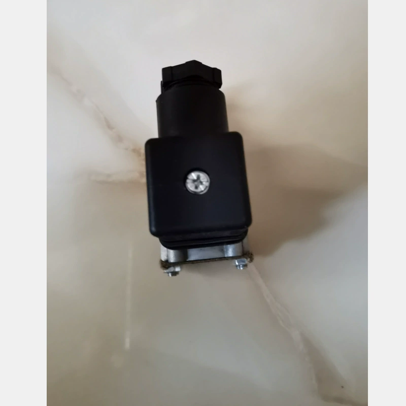 HAWE DG365 pressure relay
