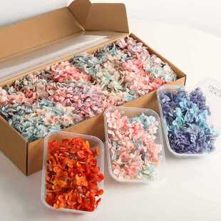 ?�ɻ�����������u׃ɫ�ֹ����ϰ��NĘ��Ь�����ֈF����ӻ�