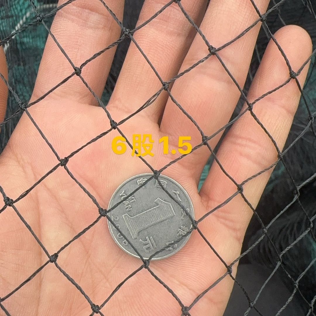 Red de pesca gruesa, malla de cría negra, malla de pesca de gran abertura, malla de pesca de peces, caja de pesca, red de transporte de nuevo tipo de tela de red
