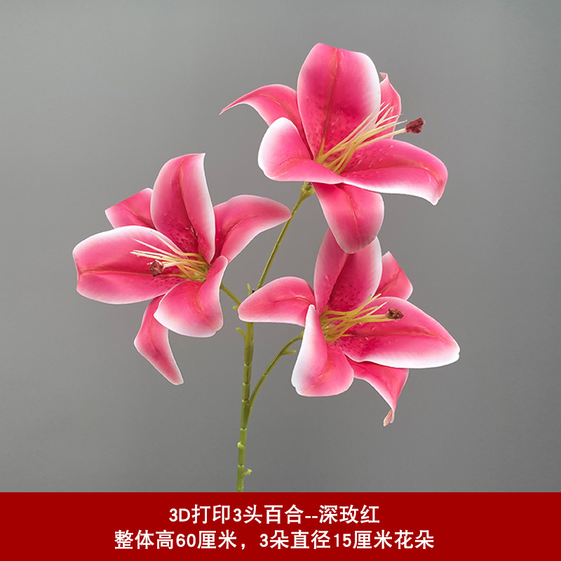 딥 로즈 레드-잎이없는