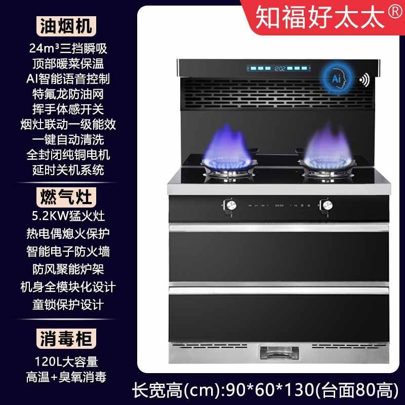 파이프 천연가스 [공장 직배송, 집으로 배송]-900 캐비닛 [음성 컬러 스크린 럭셔리] 핫 세일