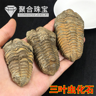 ��Ȼ�ź������ﻯʯ���~�x�˱��������ղ�ʯ�^��ͯ�̌W����ԭʯ