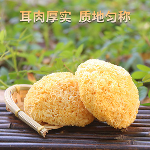 ����y���z�y���鱾���y���ؼ���؛ѩ��Ŵ����ľ���ľС�y��