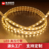 Custom manufacturer led Light belt 5050 outdoors waterproof high pressure Light Bar 220V Double row engineering Flexible LED Strip