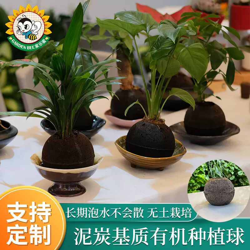 苔藓球盆器苔玉水培基质无土栽培微景观球形有机花盆绿植种植盆栽