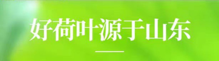 Lotus Leaf Pieces (Nelumbo nucifera) — Dried Food Herb for Tea & Daily Brewing overview